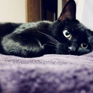 Meet your Posher, Brandy